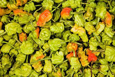 《世界树的迷宫Ⅰ·Ⅱ·Ⅲ HD REMASTER》 决定于 2023 年 6 月 1 日（周四）发售